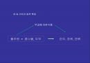 브랜드 확장전략 Brand Extension - 브랜드 확장전략 19페이지