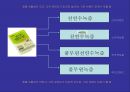 브랜드 확장전략 Brand Extension - 브랜드 확장전략 22페이지