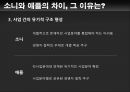 경영자 철학과 사업구조의 전개 소니 vs 애플 (경영철학) 30페이지