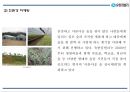[유한킴벌리 마케팅 PPT] 유한킴벌리 성공요인과 유한킴벌리 마케팅,경영전략 사례연구 19페이지