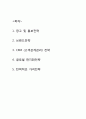 레드불 경영전략 2페이지