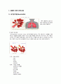아동간호학acute bronchiolitis case study A+자료! 만점자료! 2페이지