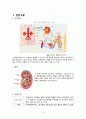 성인간호실습 ER 신장결석(신결석, 요로결석) 케이스스터디(문헌고찰, 간호과정) A+성적! 만점자료! 2페이지