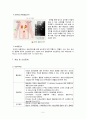 성인간호실습 ER 신장결석(신결석, 요로결석) 케이스스터디(문헌고찰, 간호과정) A+성적! 만점자료! 5페이지