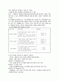 현대카드 STP분석 3페이지