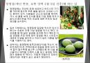 중국의 세시풍속(춘절,청명절,단오절,중추절)(A+ 자료) 9페이지