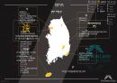 시장조사와 재무분석을 통한 강원랜드 경영분석 12페이지