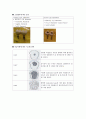 서울대학교 임플란트 진료센터 실습 레포트 - implant 개요및 종류와 follow-up care (치위생학과 레포트) 6페이지