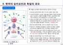 영국 항공전 14페이지