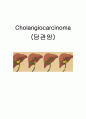 Cholangiocarcinoma(담관암) 1페이지