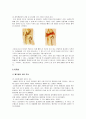 Hemophilia(혈우병) 6페이지