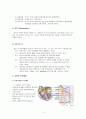 심전도의 이해 6페이지