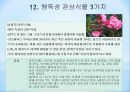 Drug Intoxication, DI, 약물중독 23페이지