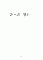 음소의 정의 (음소의뜻) 1페이지