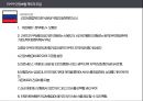 비교의료제도론 - 의료체계의 전환, 유럽의 구 공산국가들의 의료체계 전환, 아시아 공산국가의 의료체계 전환, 기타 지역에서의 의료체계 전환, 러시아의 의료체계 전환, 폴란드의 의료체계 전환, 중국의 의료체계  17페이지