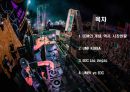 ★ EDM Festival - 공연이벤트, EDM, EDM의 개념, 역사, 시장현황, UMF KOREA, EDC Las Vegas, UMFK vs EDC  2페이지