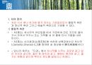 국제문화와영화 영화감상 영화와 관련된 레포트 녹차 영화 레나 5페이지