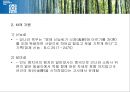 국제문화와영화 영화감상 영화와 관련된 레포트 녹차 영화 레나 13페이지