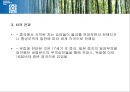국제문화와영화 영화감상 영화와 관련된 레포트 녹차 영화 레나 14페이지