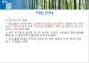 국제문화와영화 영화감상 영화와 관련된 레포트 녹차 영화 레나 19페이지