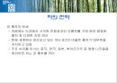 국제문화와영화 영화감상 영화와 관련된 레포트 녹차 영화 레나 22페이지