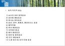 국제문화와영화 영화감상 영화와 관련된 레포트 녹차 영화 레나 28페이지