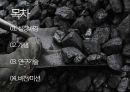 대한민국 신 성장동력: 탄소자원화 2페이지