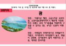 ★ 여행사 실무론 - HELLO MY BABY, 통계자료, 3C, STP, 4P, 손익계산서, 마무리 11페이지