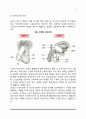 남녀간의 성차(일반적 성차, 성차의 요인, 성차와 가족관계) 4페이지