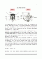 남녀간의 성차(일반적 성차, 성차의 요인, 성차와 가족관계) 5페이지