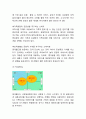 롯데월드 기업분석및 롯데월드 마케팅 7P,STP,SWOT분석및 롯데월드 미래전략제언 7페이지