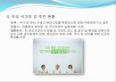 지역사회 간호사업 ppt A+ 13페이지