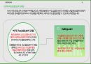 국제통상 무역분쟁(safeguard PV) 제소 A+과제 3페이지
