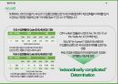 국제통상 무역분쟁(safeguard PV) 제소 A+과제 6페이지
