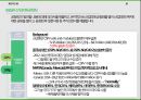 국제통상 무역분쟁(safeguard PV) 제소 A+과제 10페이지