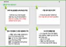 국제통상 무역분쟁(safeguard PV) 제소 A+과제 15페이지