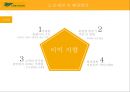 세부 퍼시픽-필리핀 민영 국제항공사 14페이지