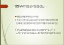 카쉐어링 서비스 국내시장에서의 성공 가능성 30페이지