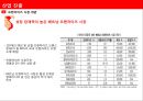 베트남 프랜차이즈 시장 27페이지