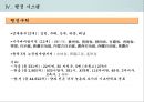 중국의 정치 구조와 행정 시스템 32페이지