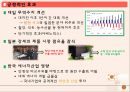 일본 경제현황과 한국의 대일전략 21페이지