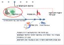 유대인과 코셔 vs 이슬람과 할랄 19페이지