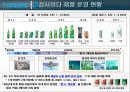 칠성사이다 마케팅전략 6페이지