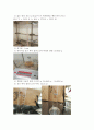 일반화학실험-기체의 몰질량 A+레포트 4페이지