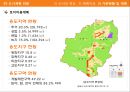 성남시 이해 13페이지