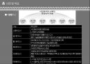 수원시 도시계획의 이해 6페이지