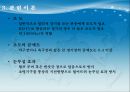 AutoCad를 이용한 조명설계 6페이지