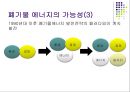 신재생 에너지(폐기물 에너지) 13페이지