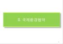 국제환경문제 & 국제환경협약 21페이지