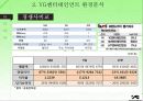 YG엔터테인먼트 마케팅 분석 9페이지
